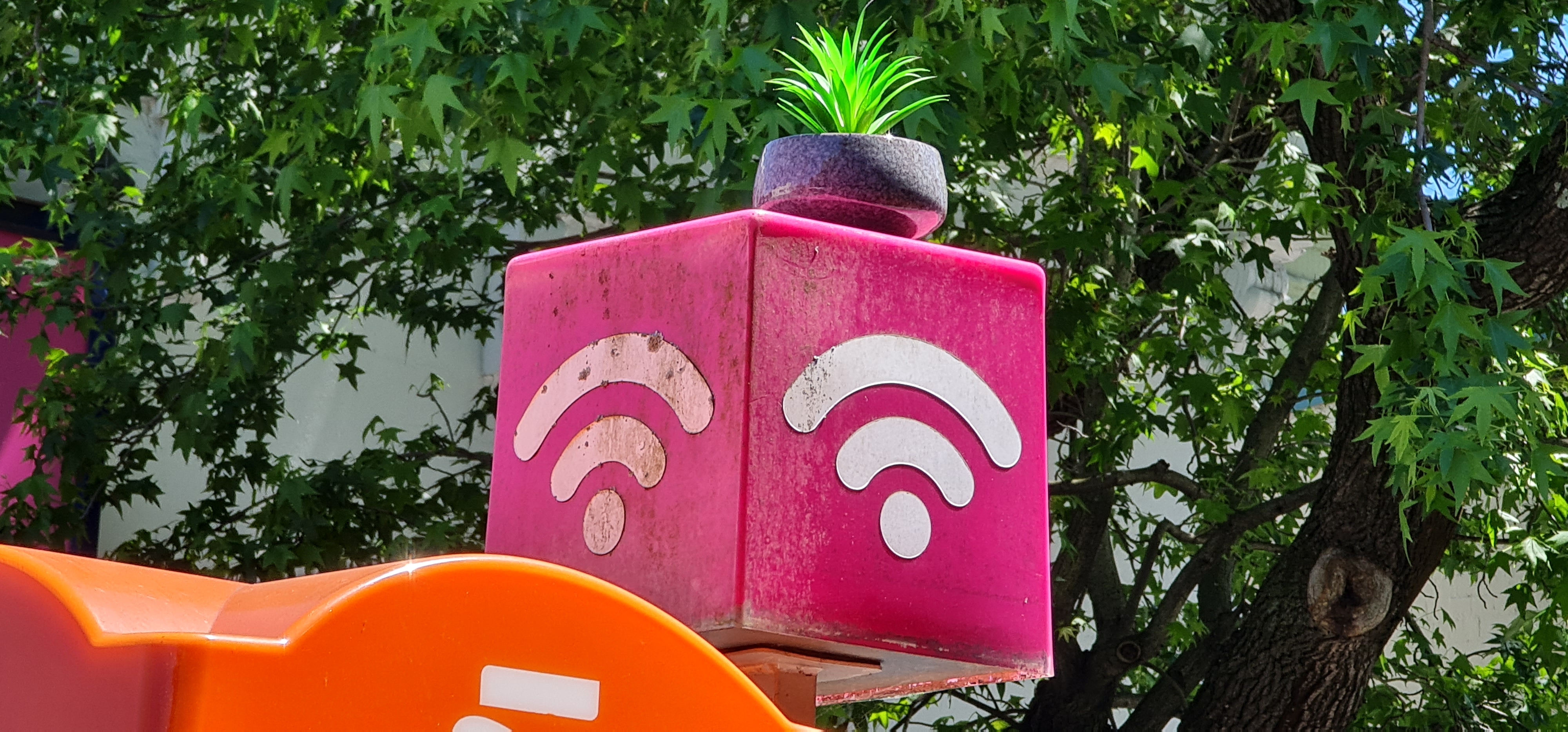 A bright pink Wi-Fi marker topped with a small plant stands among green trees.